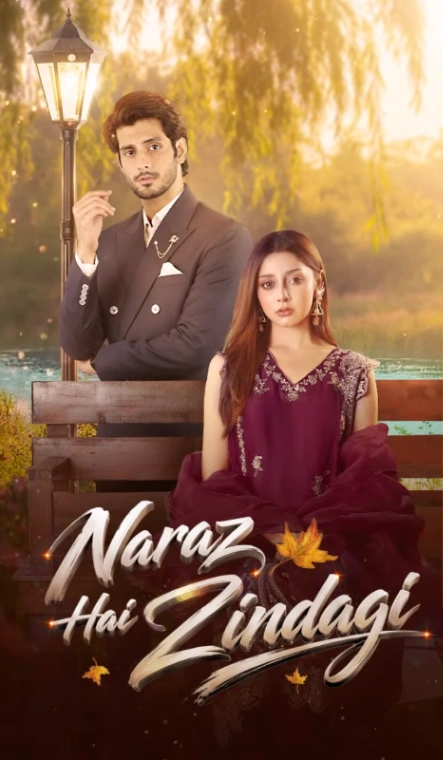 Naraz Hai Zindagi